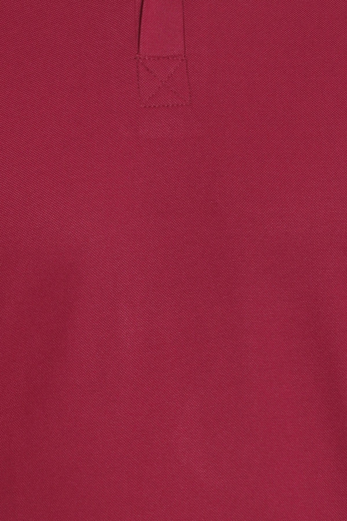 Maroon Solid Men Polo Neck T-Shirt for Office